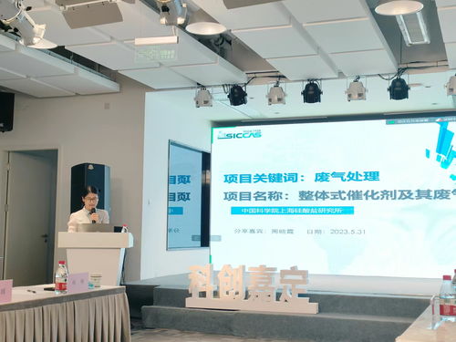 黨建領航 激發科創新動能——多方黨支部聯合開展信息技術咨詢服務主題黨日活動